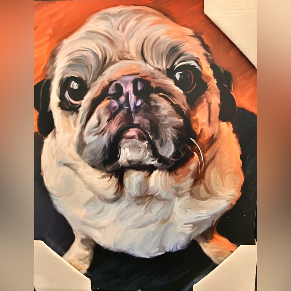 Robert Mcclintock - Pug On A Rug wooden picture